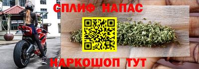 дживик Тверь