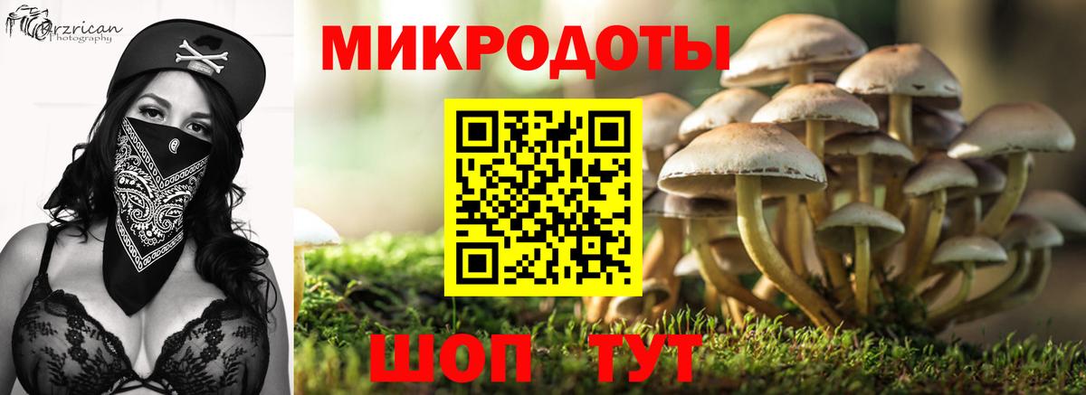 Псилоцибиновые грибы Cubensis  Вход с VPN  сколько стоит  Нефтеюганск 
